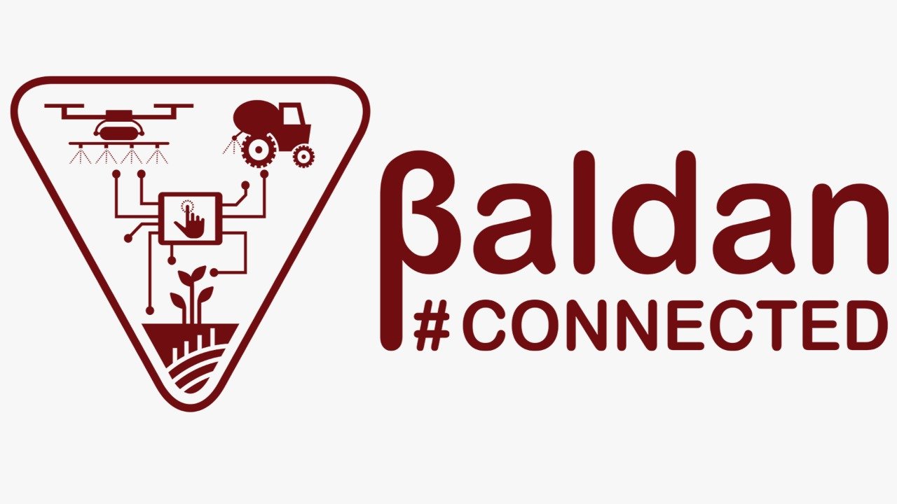 logo baldan connected marrom