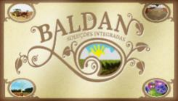 logo baldan original baixa